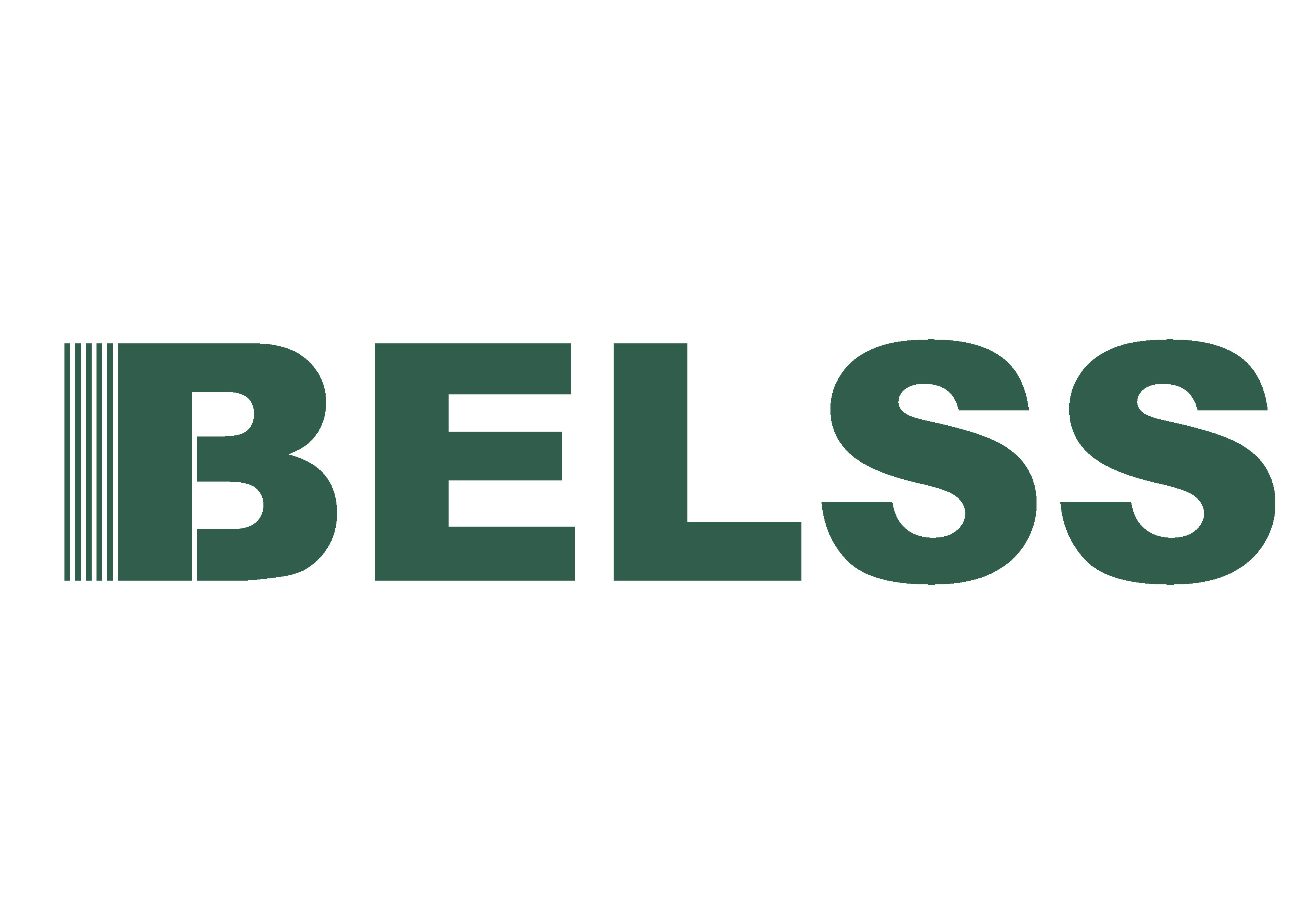 BELSS Ltd.