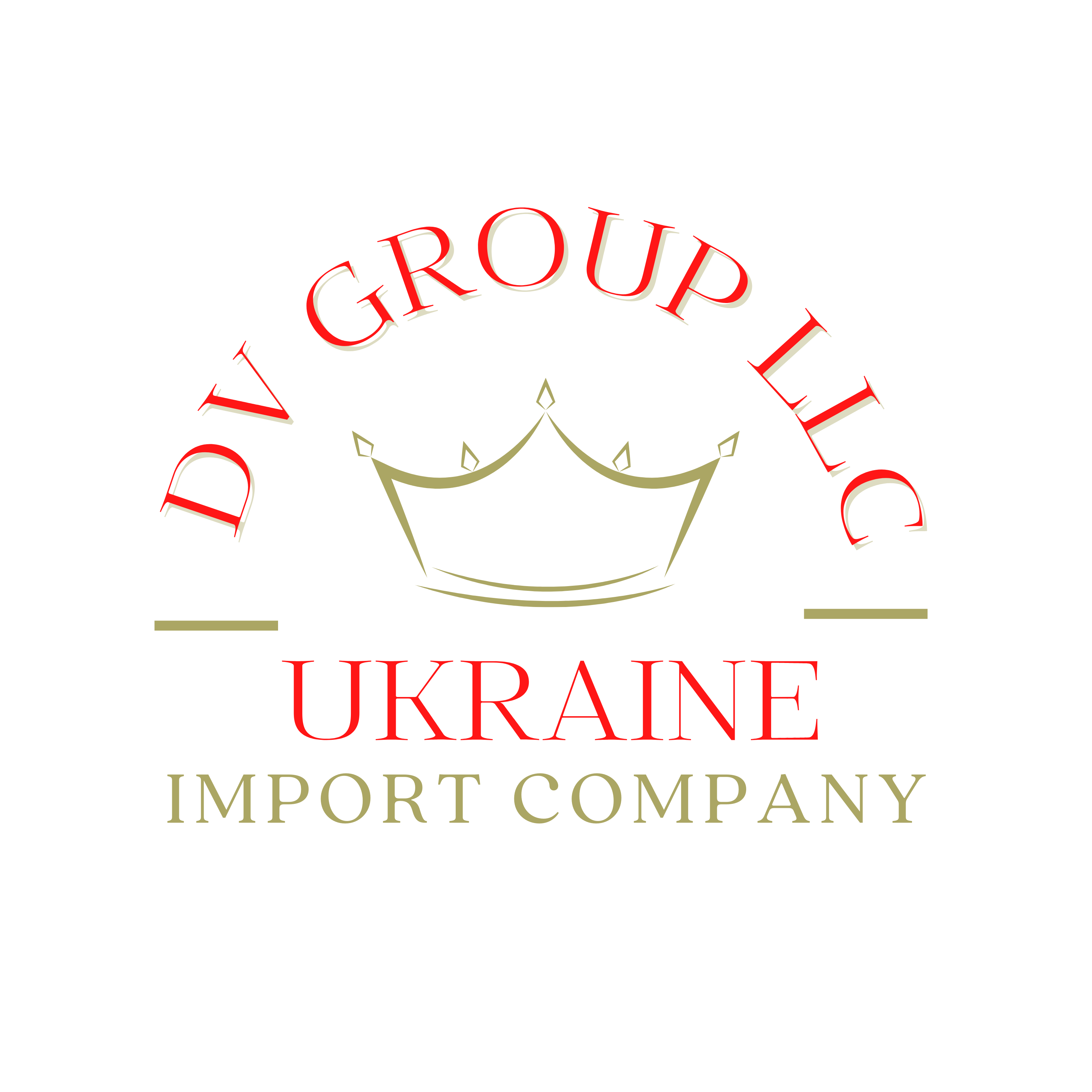 DV GROUP LLC