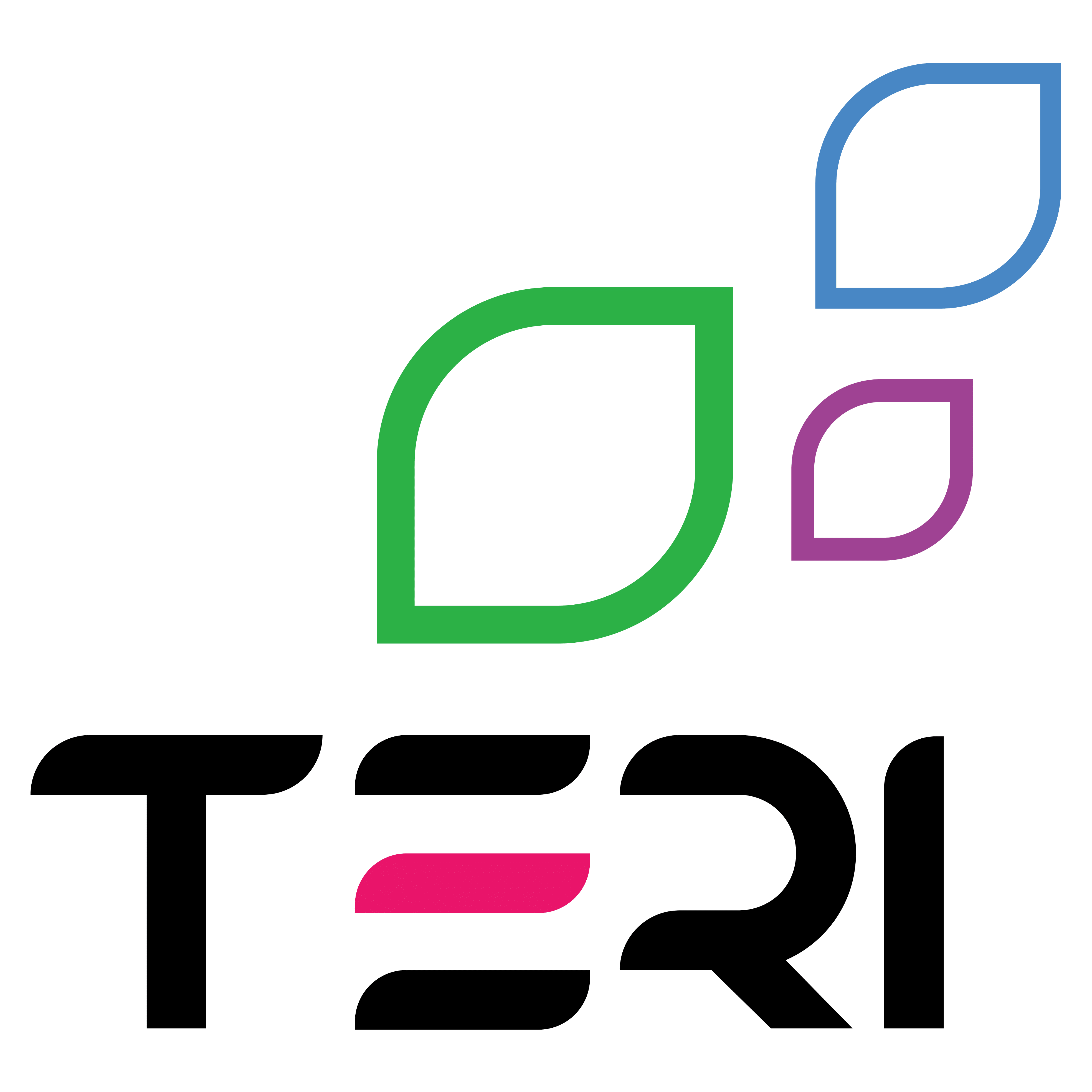 ТЕРІ ТМ / TERI TM