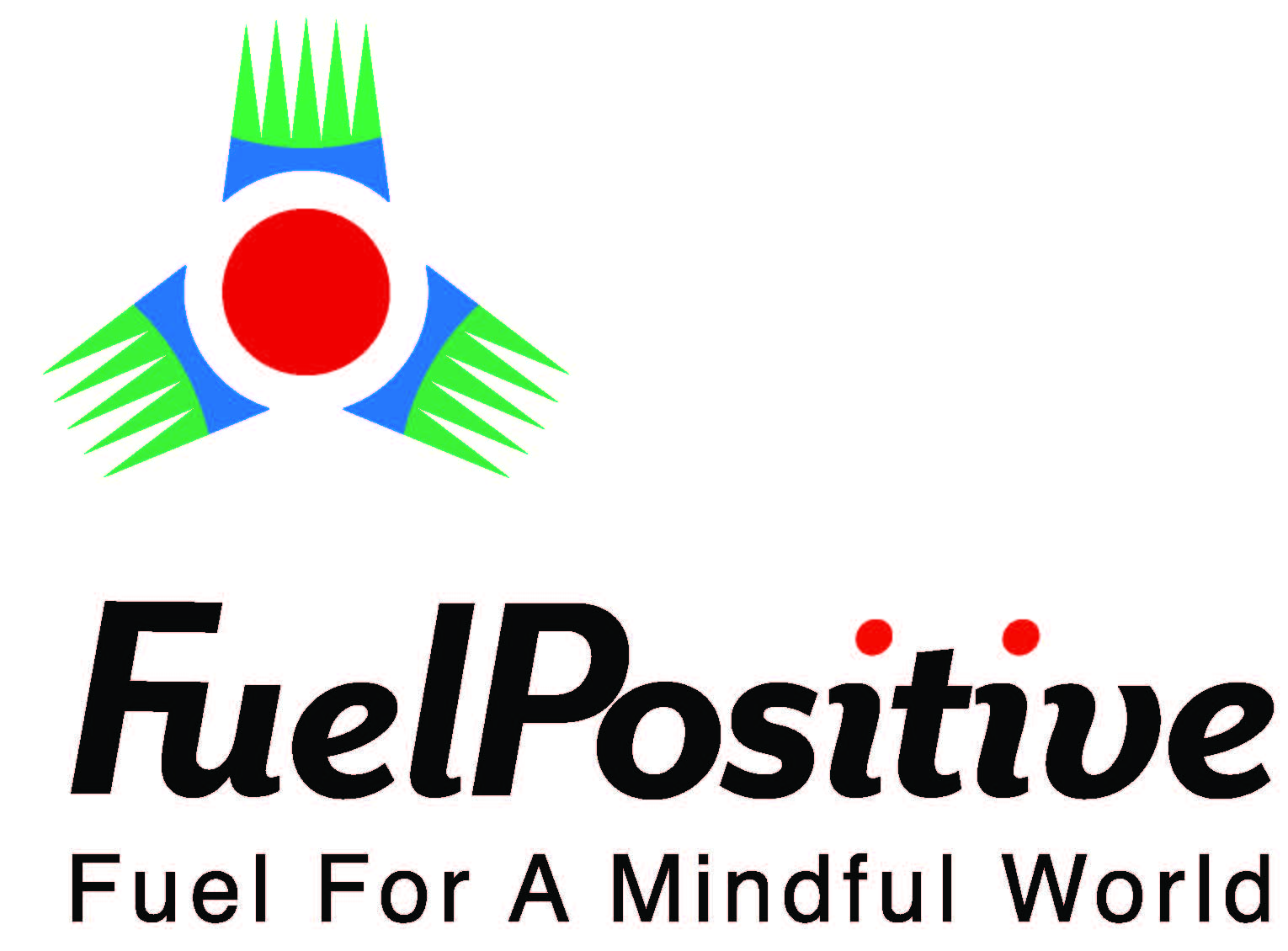 FUELPOSITIVE CORPORATION